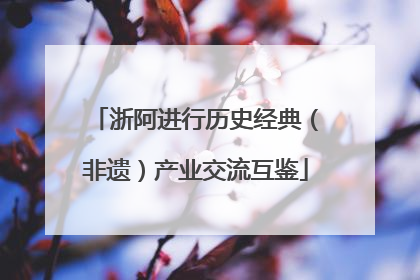 浙阿进行历史经典（非遗）产业交流互鉴